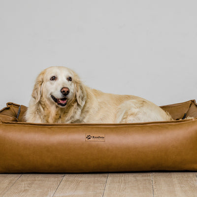 Cama para perro modelo nido Kuapets Camel