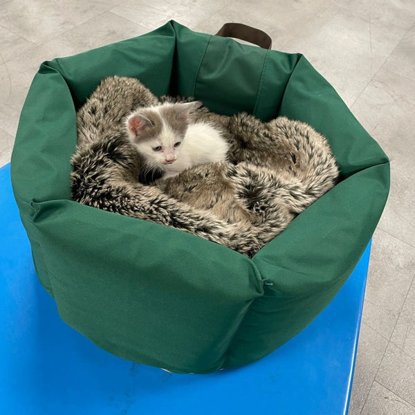 Cama para gatos redonda Kuapets verde botella