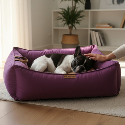 Cama para perro nido Kuapets morado - café