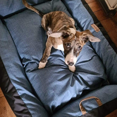 Cama para perro modelo nido Kuapets azul jeans - negro