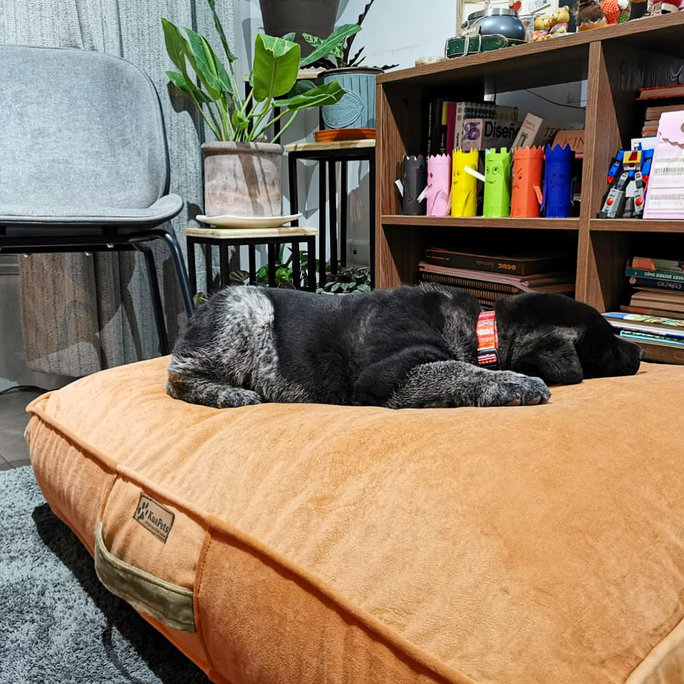 El sueño es importante