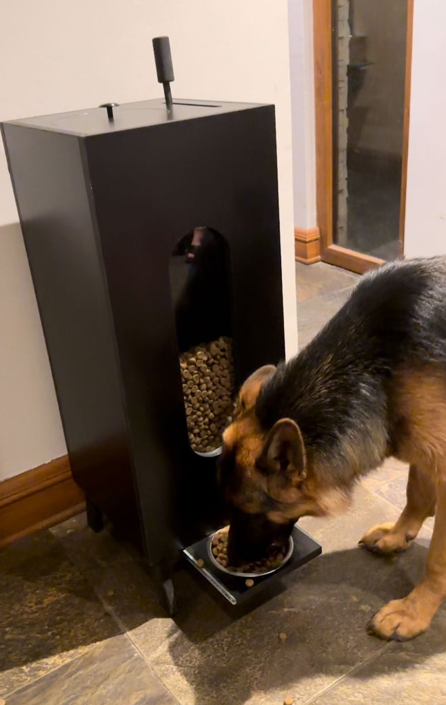 Dispensador de alimento para perros y gatos