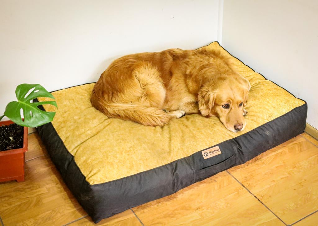 Cama Para Perro Modelo Origen Kuapets golden-negro