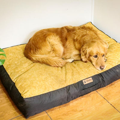 Cama Para Perro Modelo Origen Kuapets golden-negro