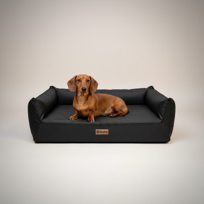 Cama para perro ortopédica Kuapets - new therapy nido - black