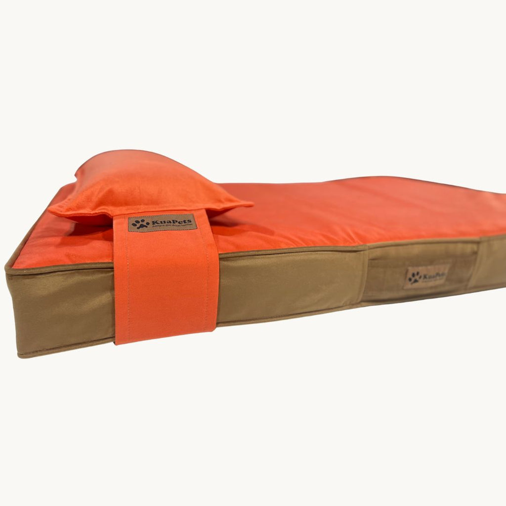 Cama para perros ortopédica, modelo therapy naranjo - café
