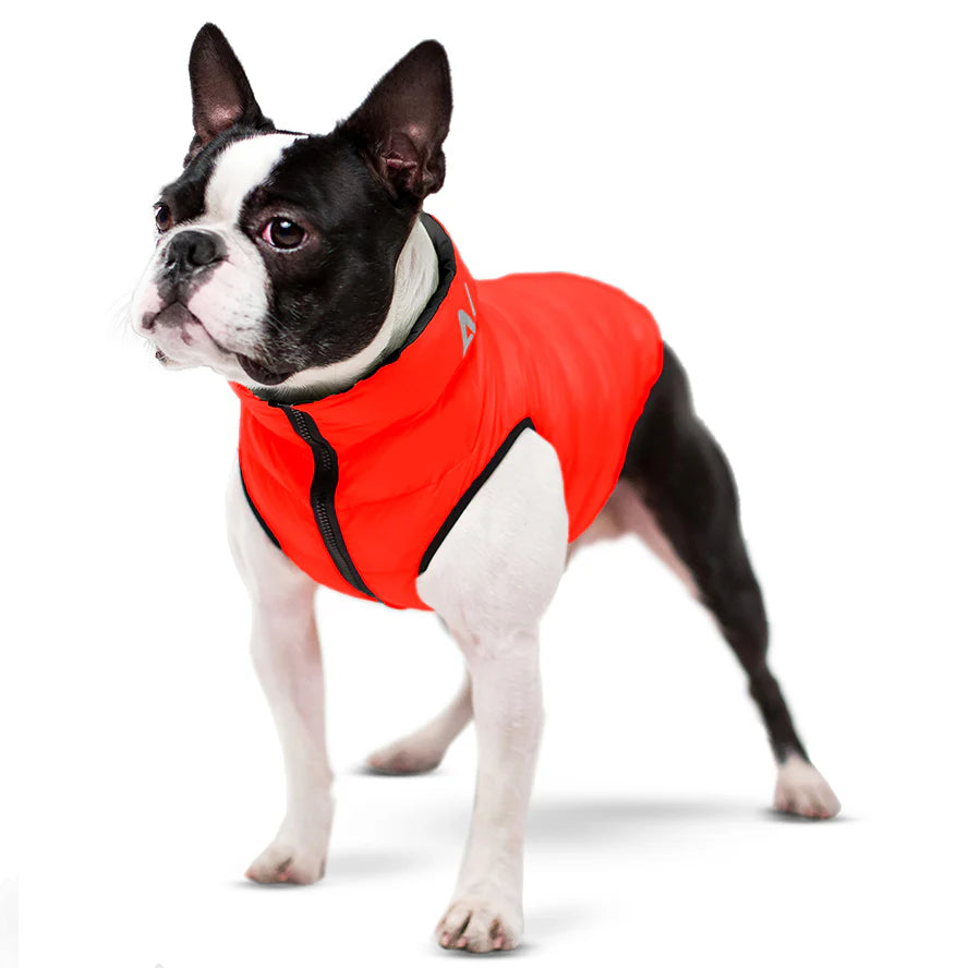 Chaqueta perro airyvest rojo / negro