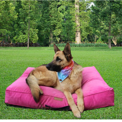 Cama para perro modelo origen Kuapets fucsia