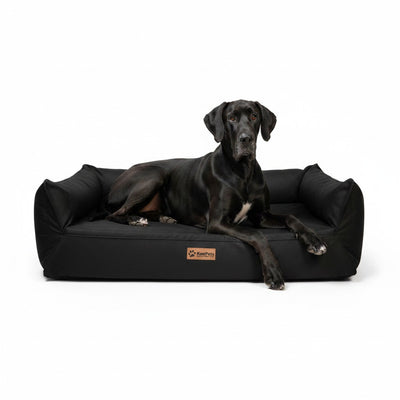 Cama para perro ortopédica Kuapets - new therapy nido - black
