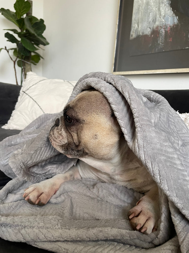 Manta antiestrés Gris