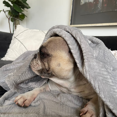 Manta antiestrés Gris