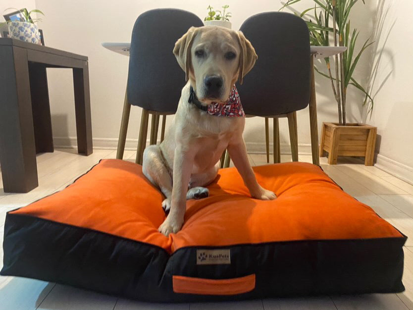 Cama Para Perro Modelo Origen Kuapets naranjo - negro