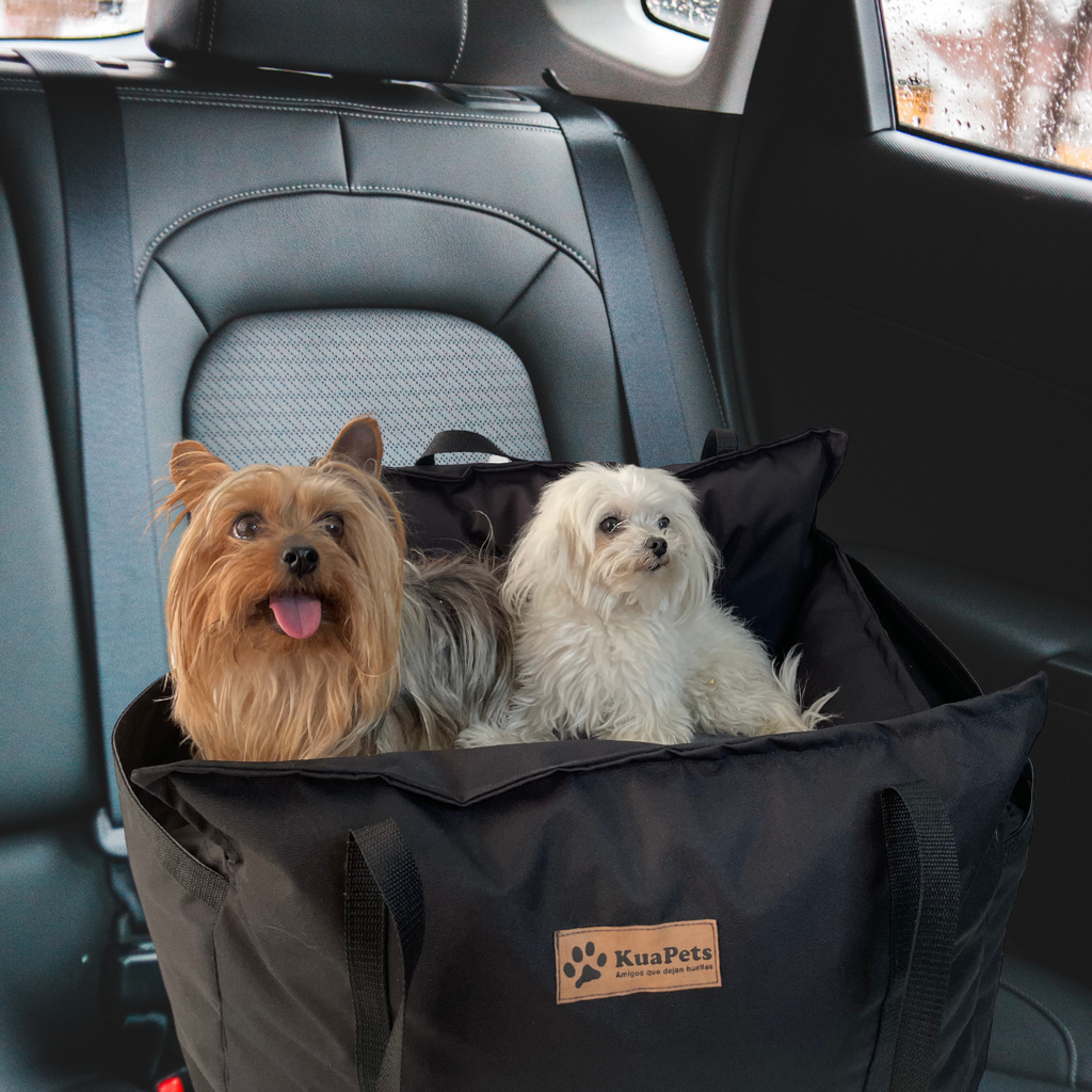 Cama de viaje para perro Kuapets Negro