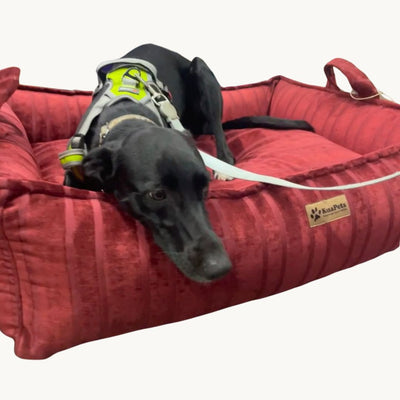 Cama para perro nido Kuapets Carmin