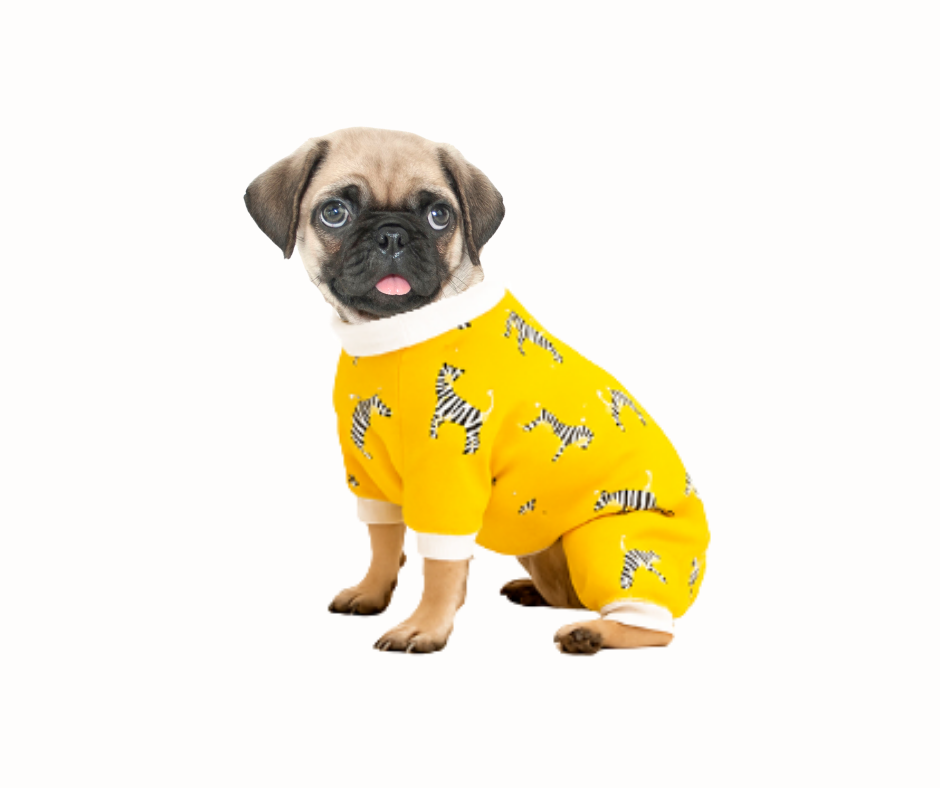 Pijama para Perro cebra Pequeñas Razas