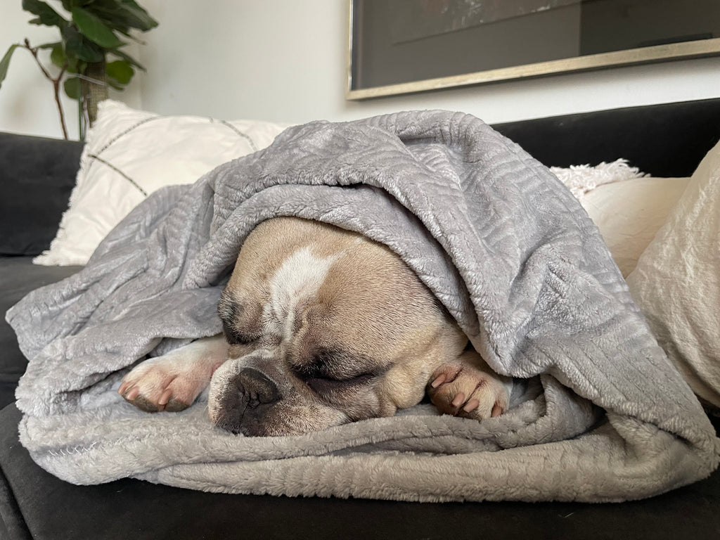 Manta antiestrés Gris