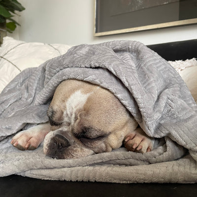 Manta antiestrés Gris