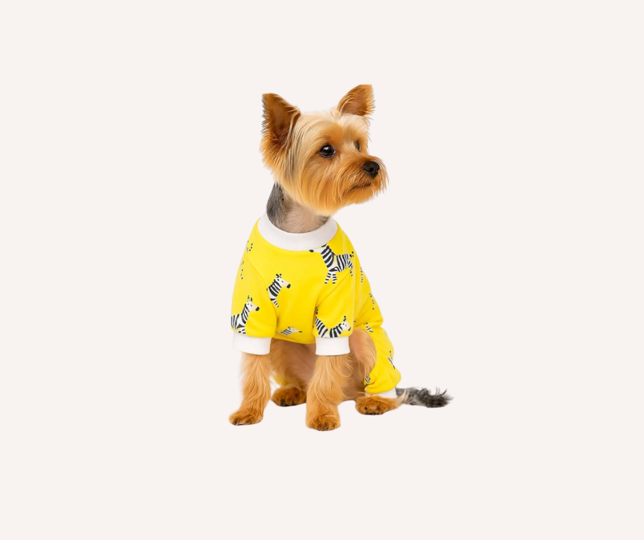 Pijama para Perro cebra Pequeñas Razas