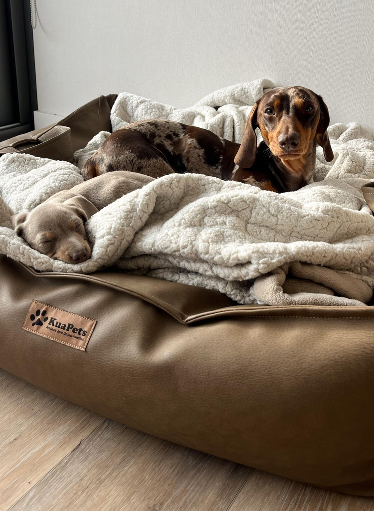 Cama para mascota modelo nido Kuapets eco cuero Capuccino