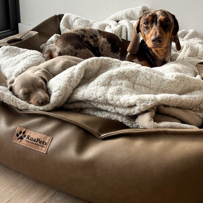 Cama para mascota modelo nido Kuapets eco cuero Capuccino