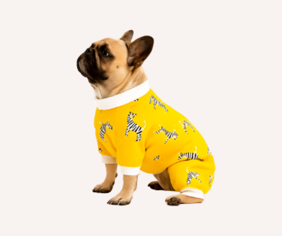 Pijama para Perro cebra Pequeñas Razas