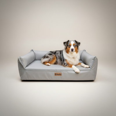 Cama para perro ortopédica Kuapets - new therapy nido - grey