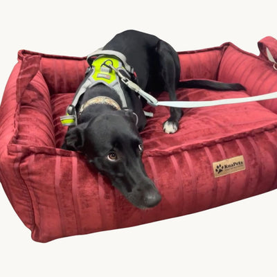 Cama para perro nido Kuapets Carmin