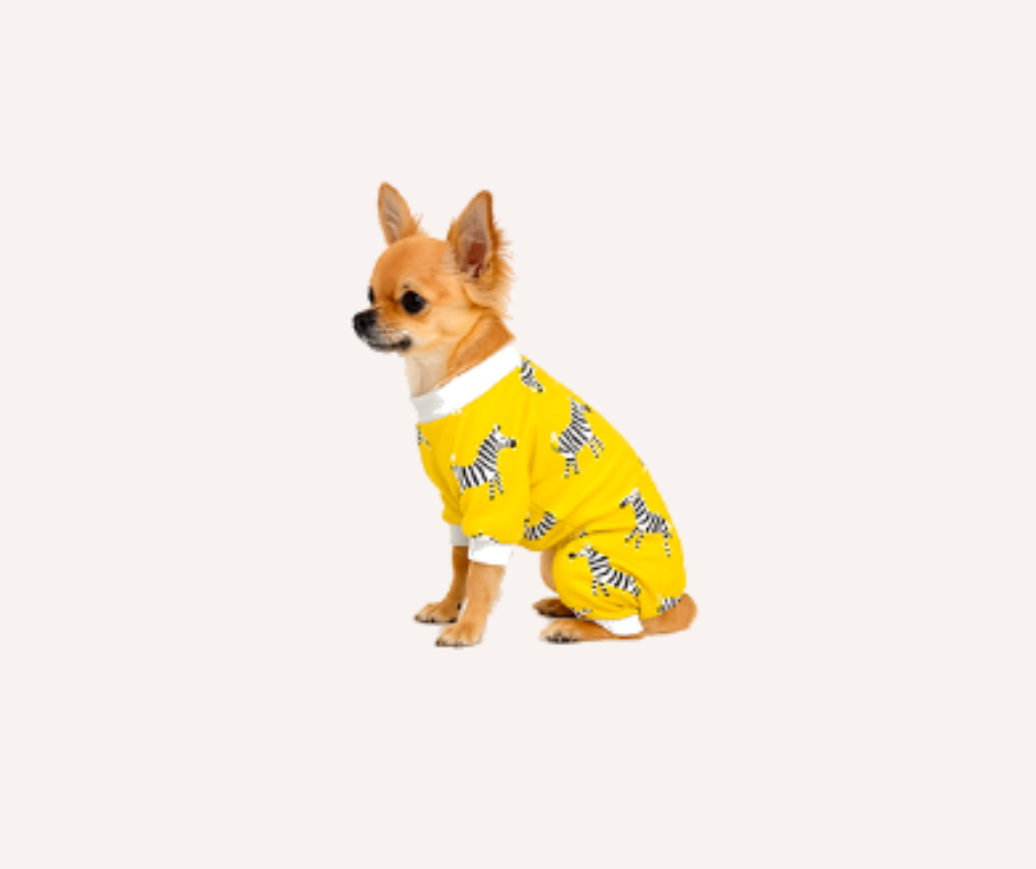 Pijama para Perro cebra Pequeñas Razas