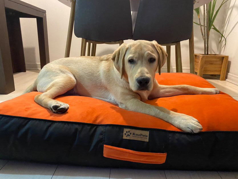 Cama Para Perro Modelo Origen Kuapets naranjo - negro