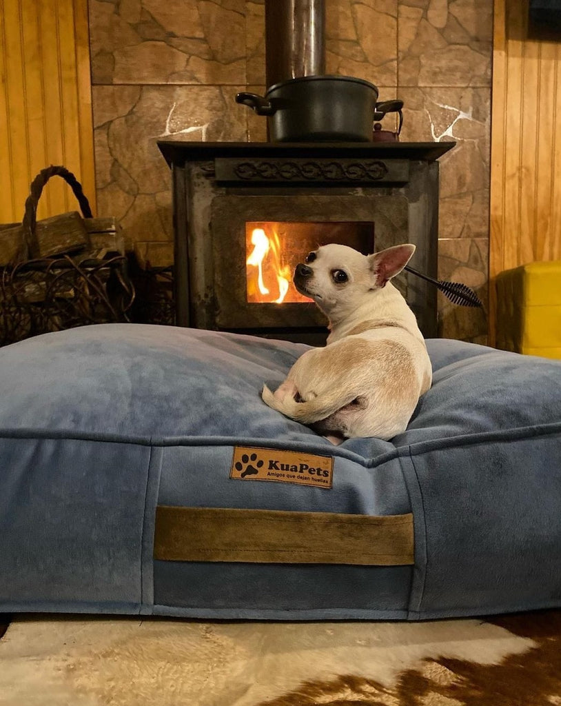 Cama para mascota modelo origen Kuapets gris