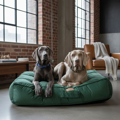 Cama para Perro Grande 3XL – Modelo Origen Kuapets Lavable