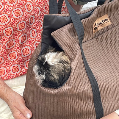 Bolso de Paseo para Mascotas – Eco cuero Marrón