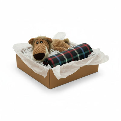 Cajita Navideña Kuapets – Manta + Peluche Leon