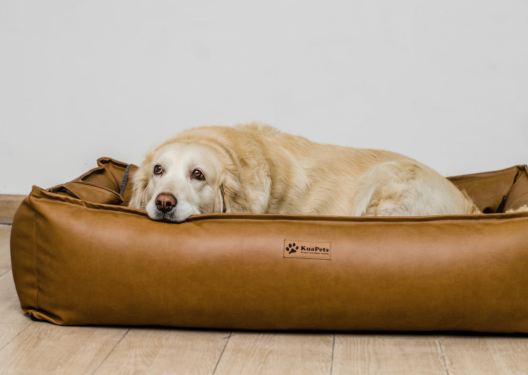 Cama Hipoalergica Camas Para Perros Delivery Cama Para Perro