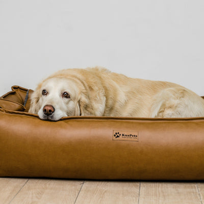 Cama para perro modelo nido Kuapets Camel
