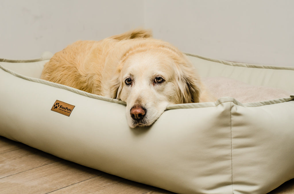 Cama para mascota modelo nido Kuapets eco cuero white