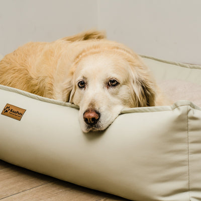 Cama para mascota modelo nido Kuapets eco cuero white