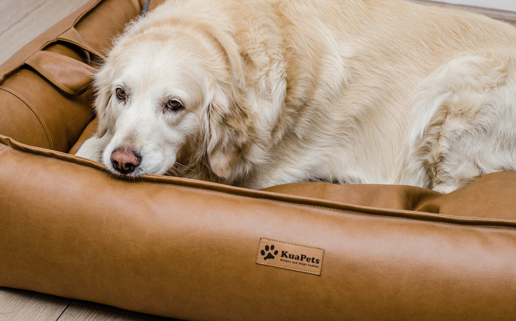 Cama para perro modelo nido Kuapets Camel