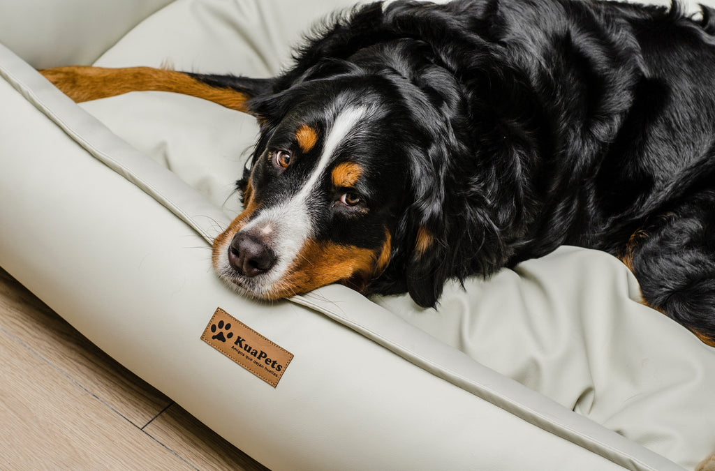 Cama para mascota modelo nido Kuapets eco cuero white