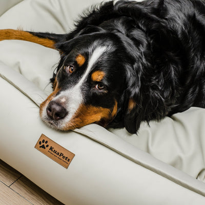 Cama para mascota modelo nido Kuapets eco cuero white