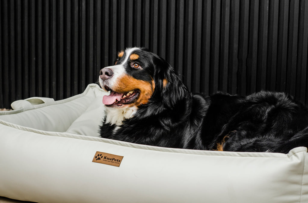 Cama para mascota modelo nido Kuapets eco cuero white
