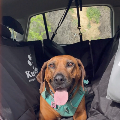 Cubre asiento de auto impermeable para mascota