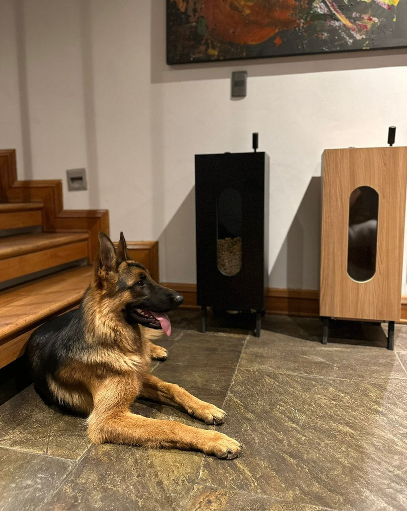 Dispensador de alimento para perros y gatos