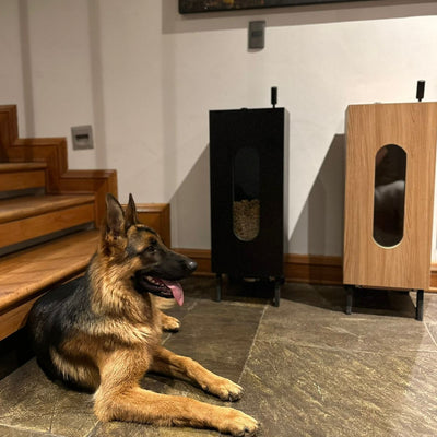 Dispensador de alimento para perros y gatos