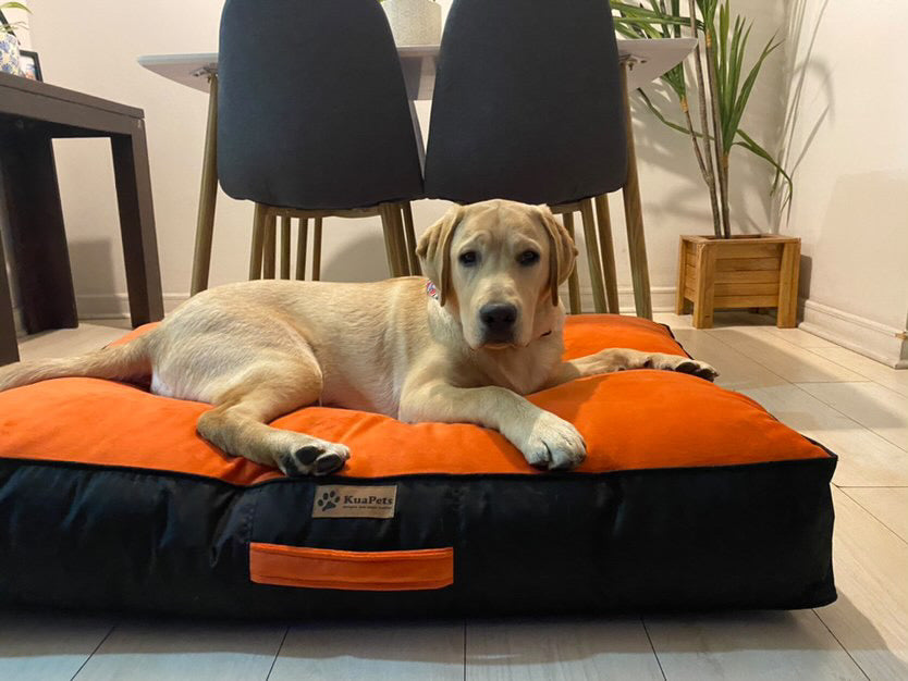 Cama Para Perro Modelo Origen Kuapets naranjo - negro