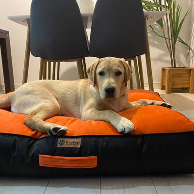 Cama Para Perro Modelo Origen Kuapets naranjo - negro