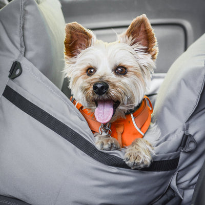 Cama de viaje para perro Kuapets gris
