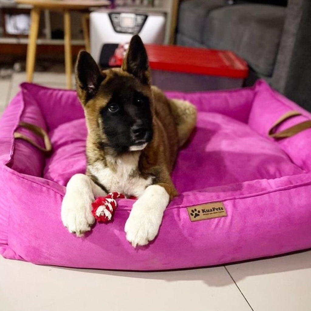 Cama para perro nido Fucsia  Kuapets