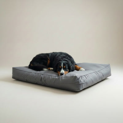 Cama para Perros  Impermeable Modelo Origen | Kuapets - Gris
