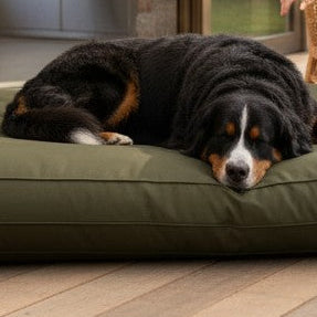Cama para Perros  Impermeable Modelo Origen | Kuapets - Verde Olivo